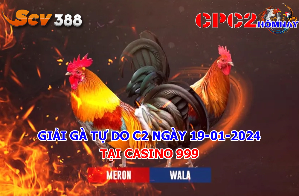 Giải Gà Tự Do C2 ngày 19-01-2024 tại Casino 999